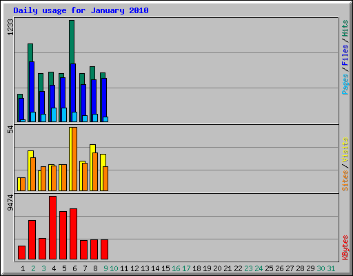 Daily usage for January 2010