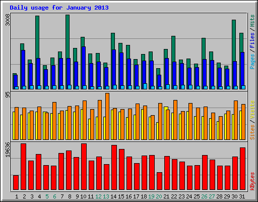 Daily usage for January 2013