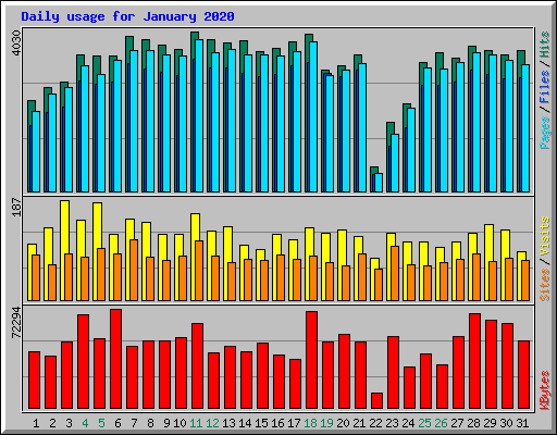 Daily usage for January 2020