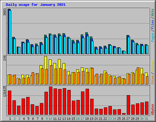 Daily usage for January 2021