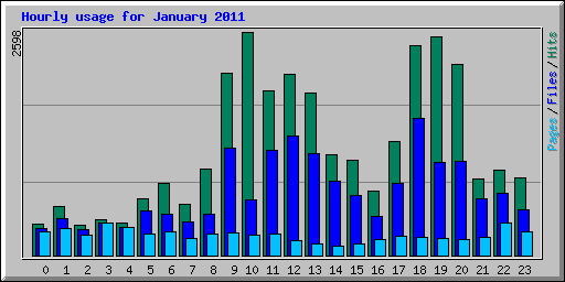 Hourly usage for January 2011