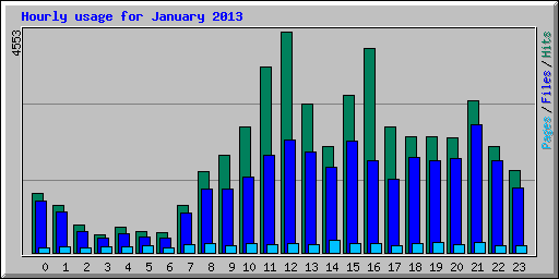 Hourly usage for January 2013