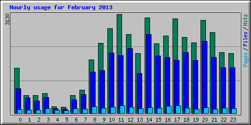 Hourly usage for February 2013