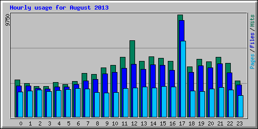Hourly usage for August 2013