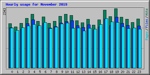 Hourly usage for November 2019