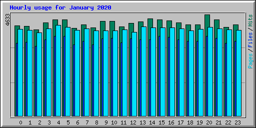 Hourly usage for January 2020