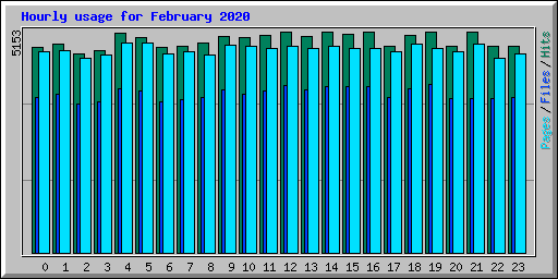 Hourly usage for February 2020