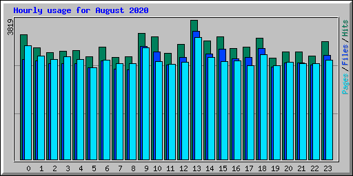 Hourly usage for August 2020