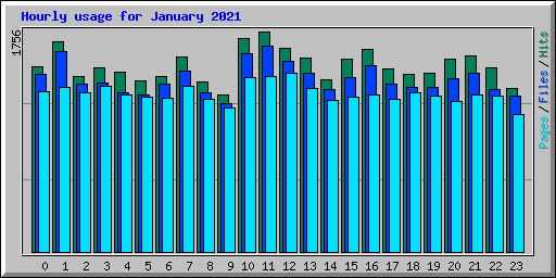 Hourly usage for January 2021