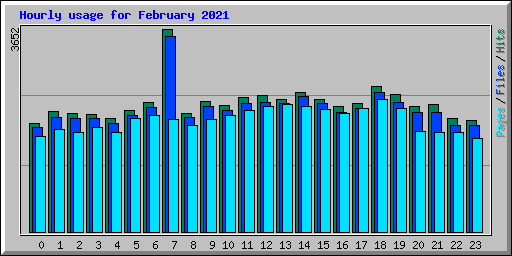 Hourly usage for February 2021