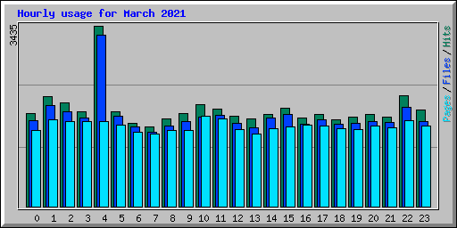 Hourly usage for March 2021