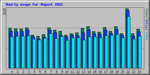 Hourly usage for August 2021