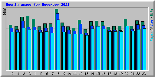 Hourly usage for November 2021