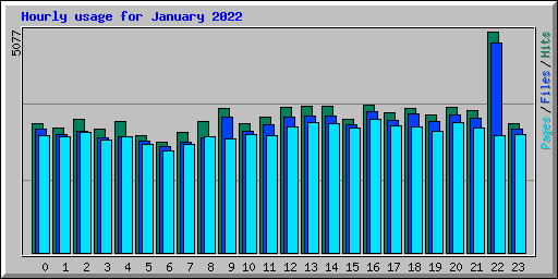 Hourly usage for January 2022