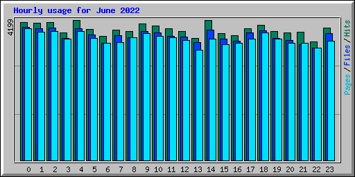 Hourly usage for June 2022